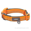 Collares de perros de nylon ajustble collar de entrenamiento de entrenamiento personalizado